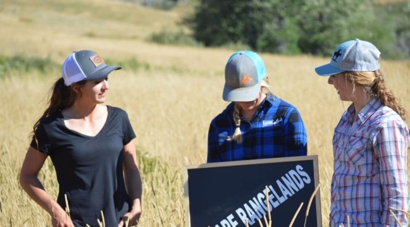 Diversity and Inclusion