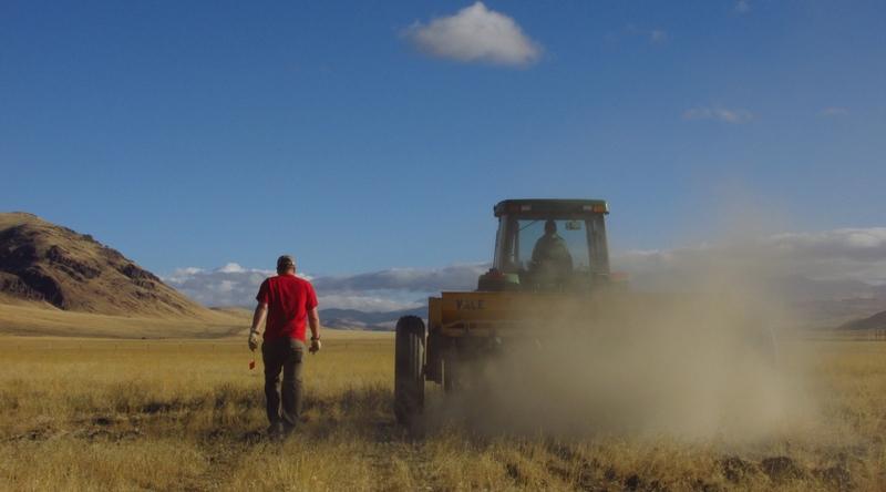 Reclamation & Restoration