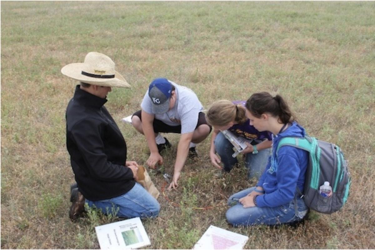 Students at the Kansas Range Youth Camp clipping to determine biomass