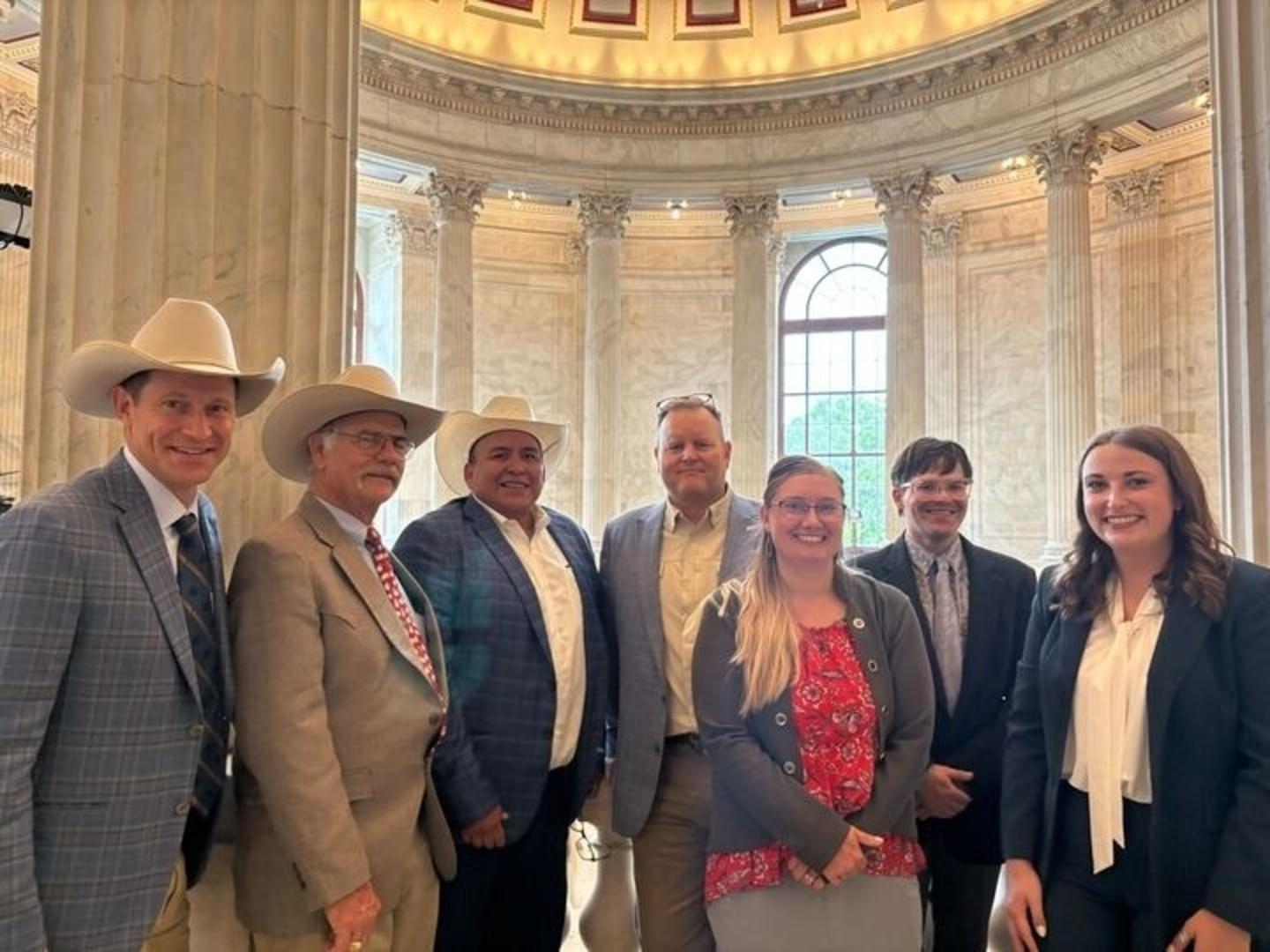 Official Communications & Statements